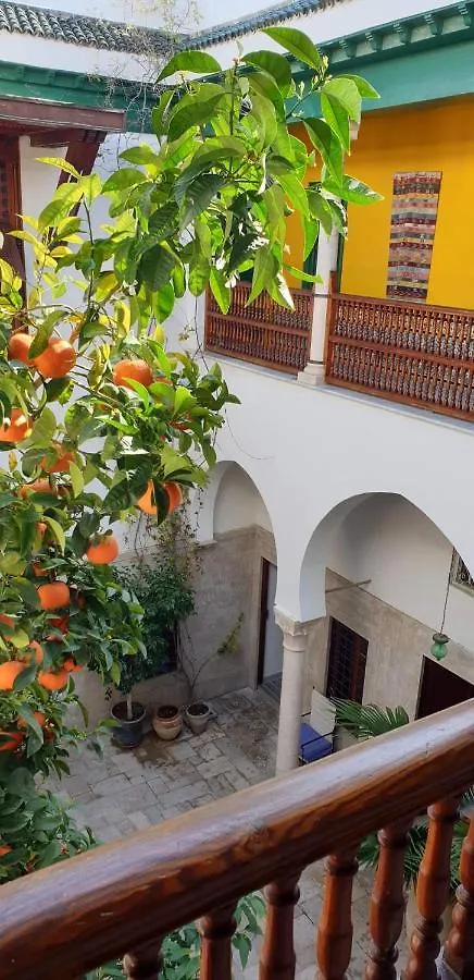 Dar Traki Medina De Tunis Bed & Breakfast Tunisia