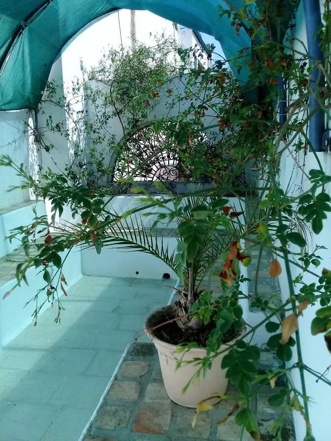 Dar Traki Medina De Tunis Bed and Breakfast